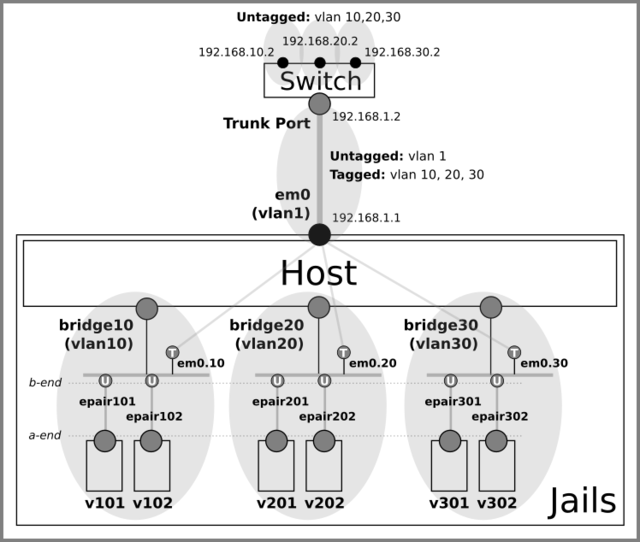 Attach untagged ports to the jails
